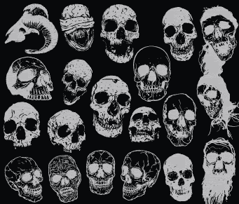 [Image: handdrawnskulls.gif]