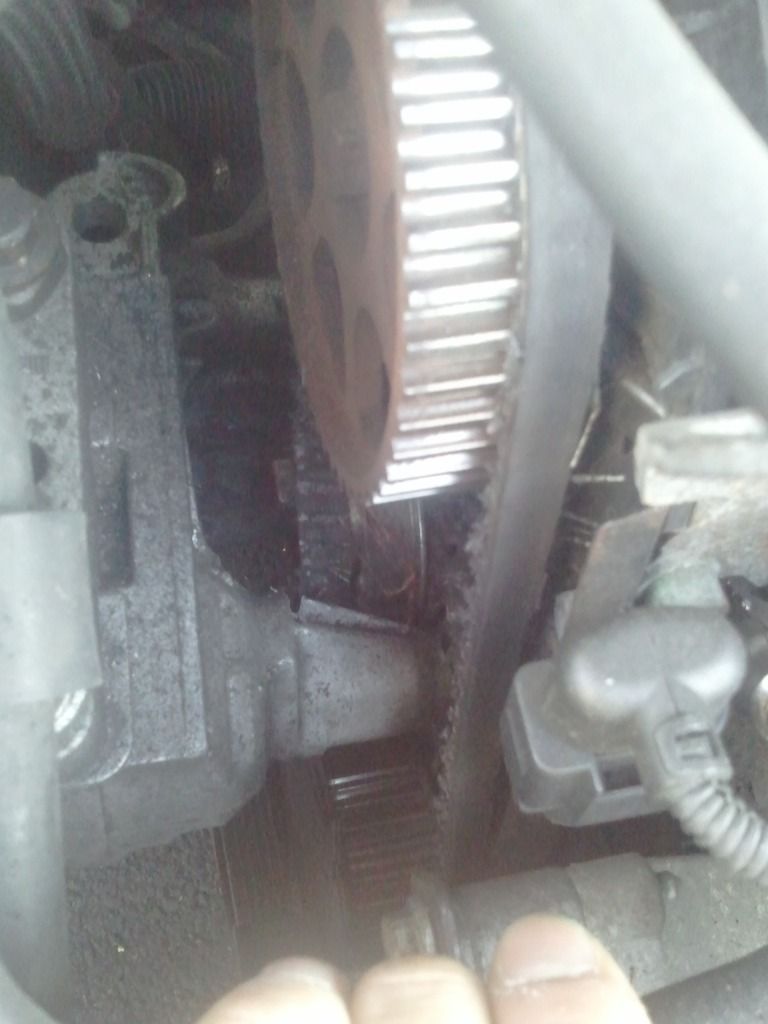 timing belt tensioner broke. give me the news ! VW Vortex