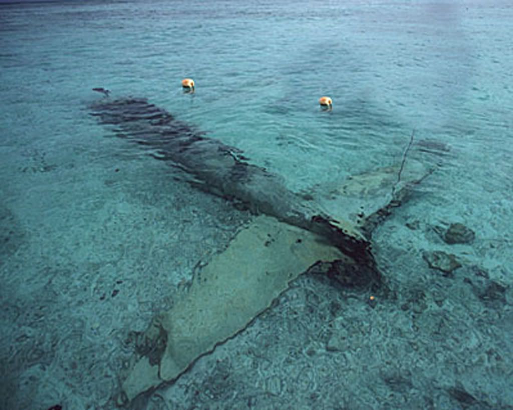 http://i1116.photobucket.com/albums/k565/Axel_Edwards/sunken-plane.jpg