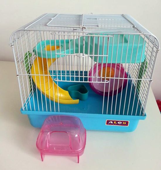 hamster alex cage
