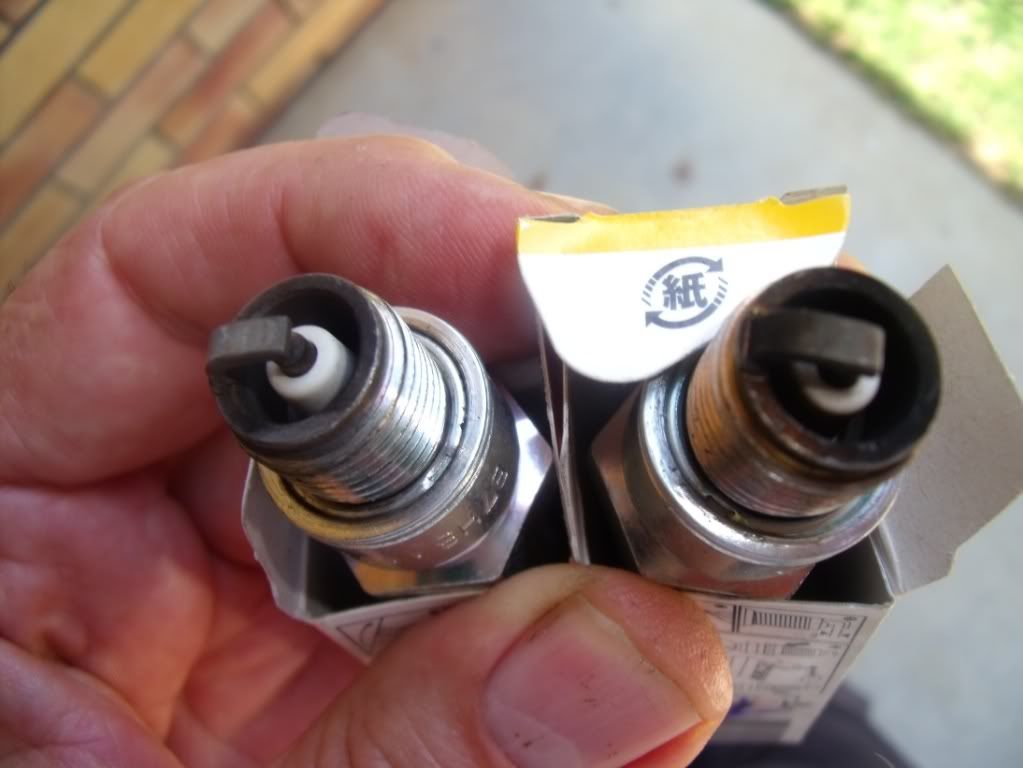 Plug Chop Triumph Rat Motorcycle Forums