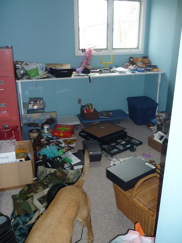 photo P1020695_zps0daa5236.jpg