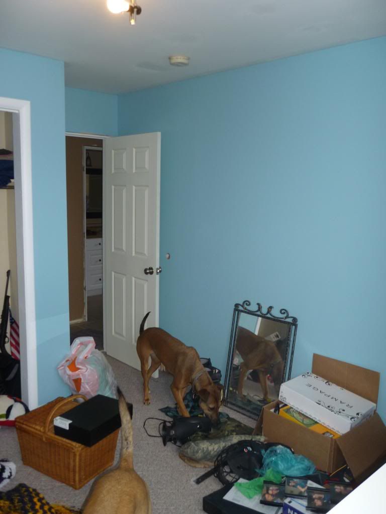 photo P1020696_zps6106b6db.jpg