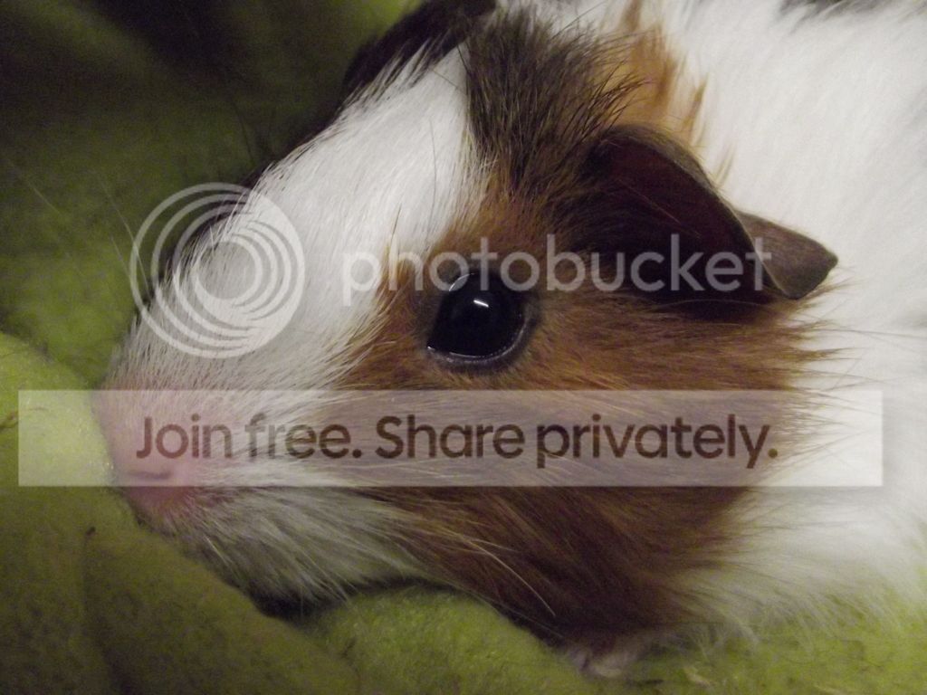 DSCF1519.jpg