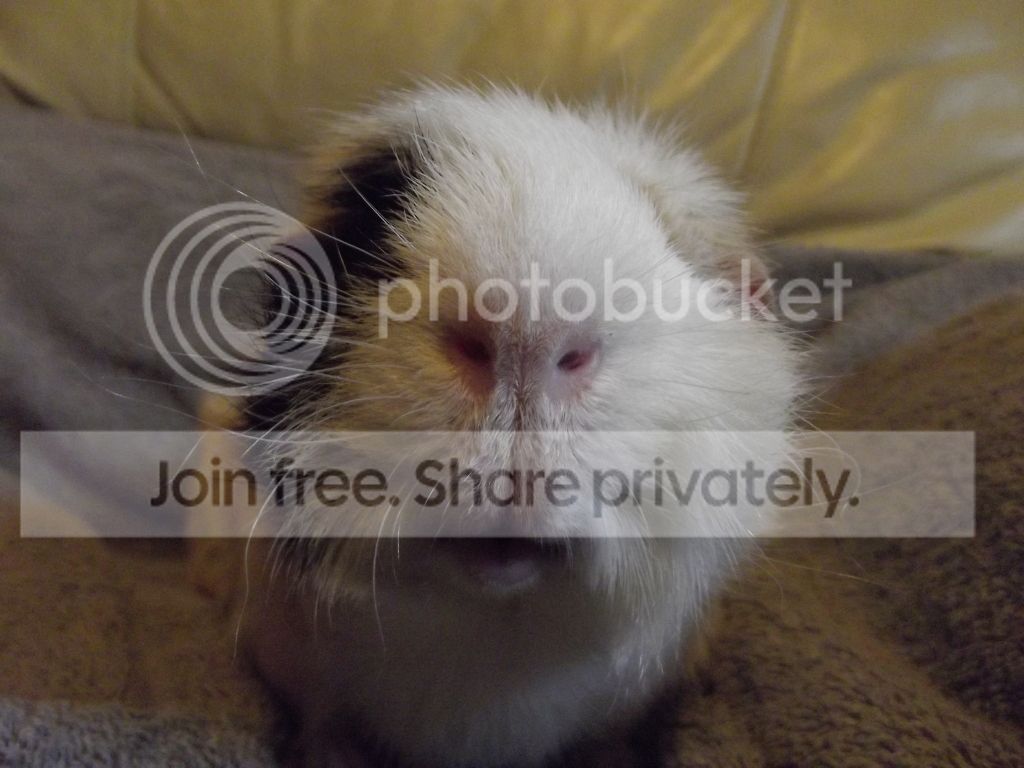 DSCF1589.jpg
