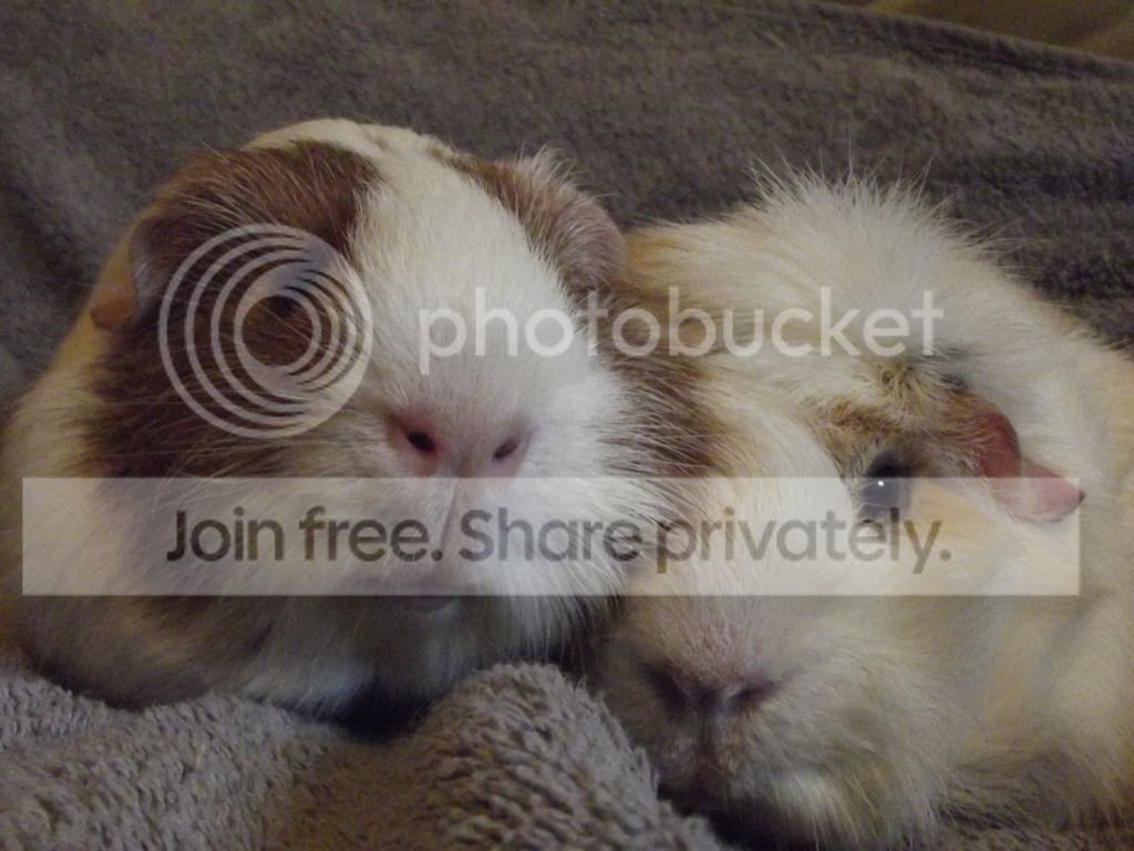 DSCF1596.jpg