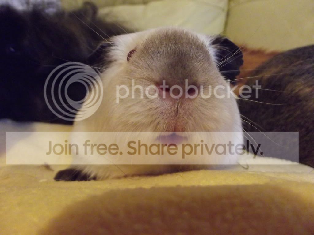 DSCF2209.jpg