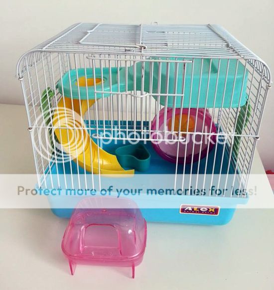 hamster alex cage