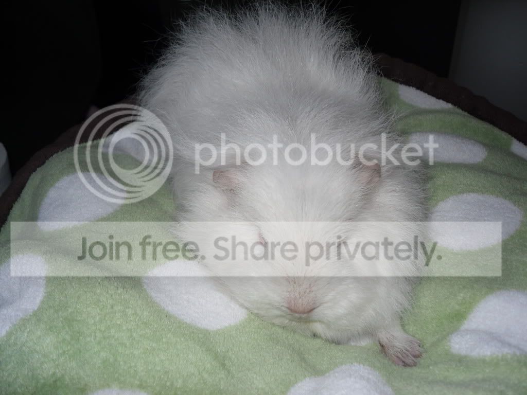 Picture310.jpg