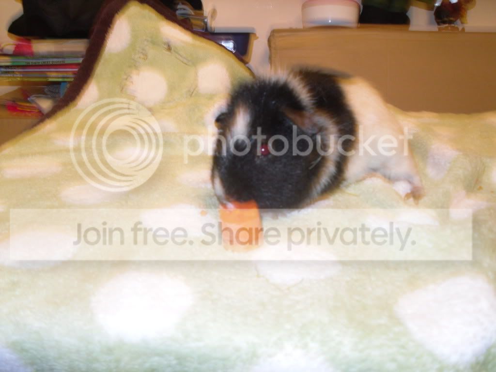 Picture322.jpg